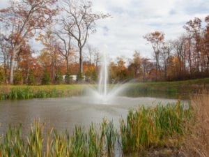Fountain-at-Wayside-Oaks